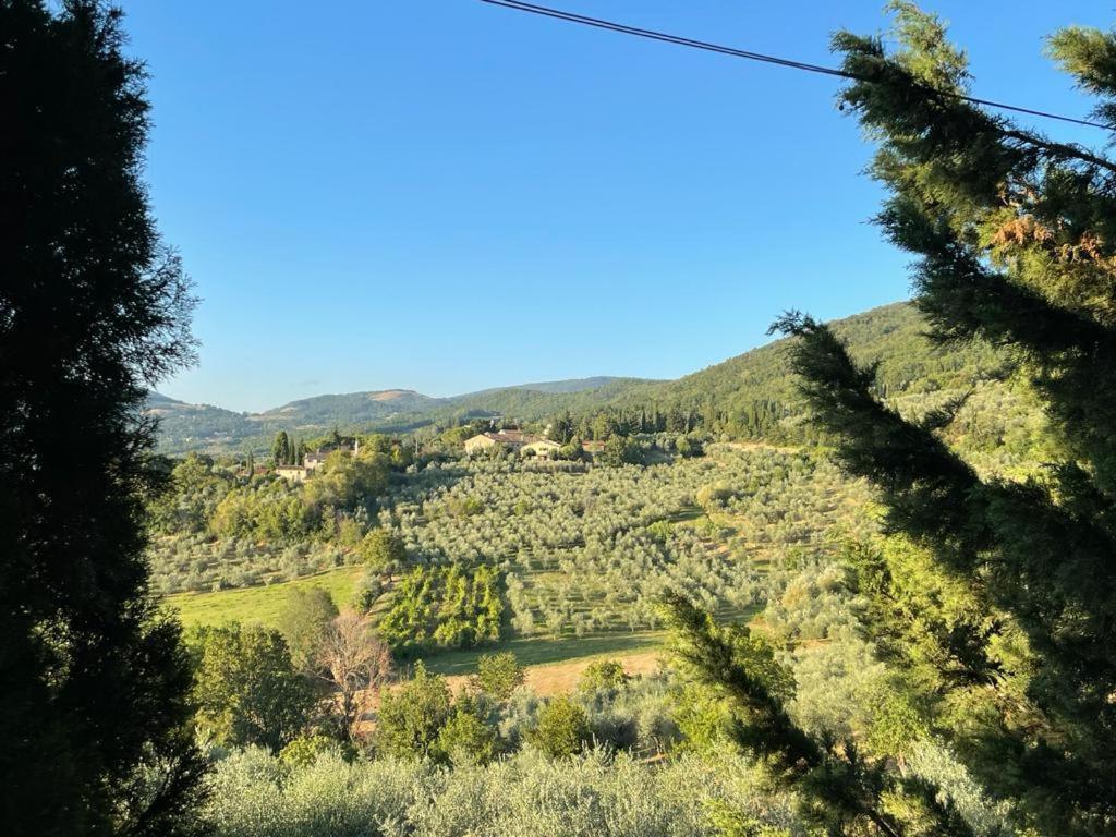 Fattoria Poggio Di Fiesole Villa Eksteriør billede