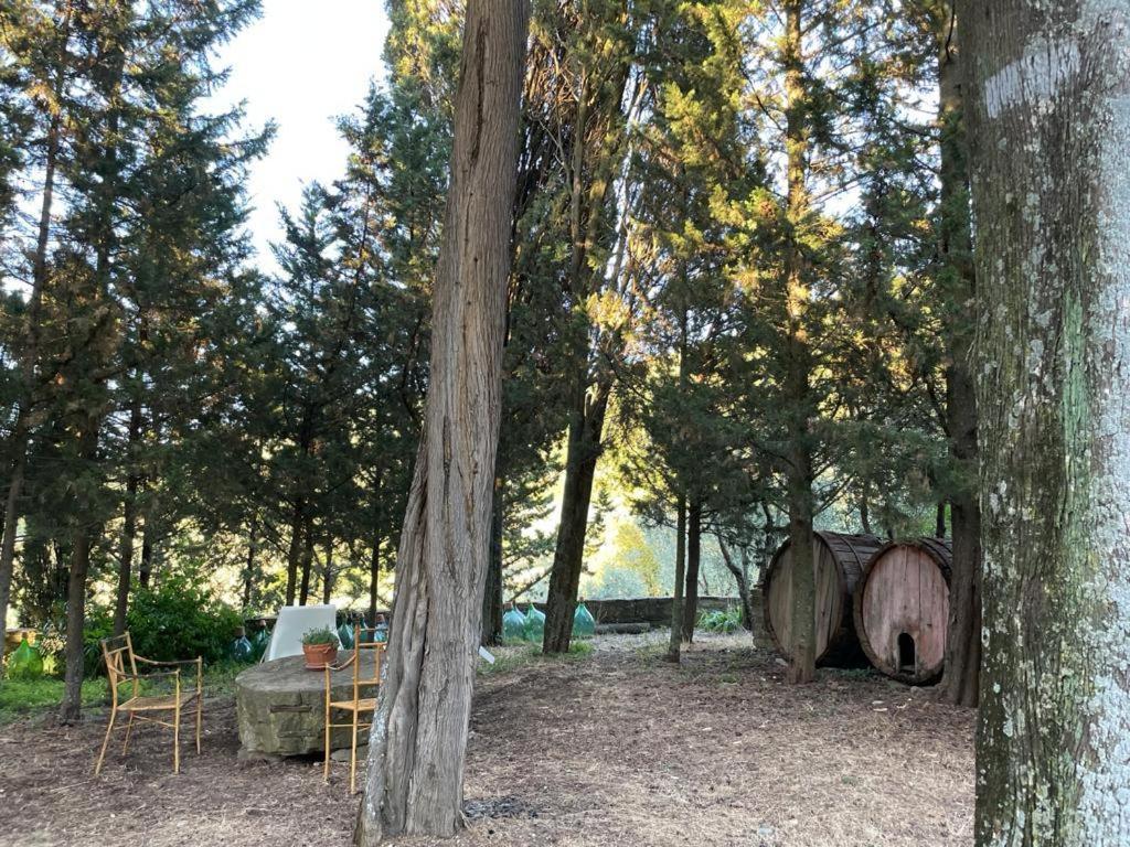 Fattoria Poggio Di Fiesole Villa Eksteriør billede