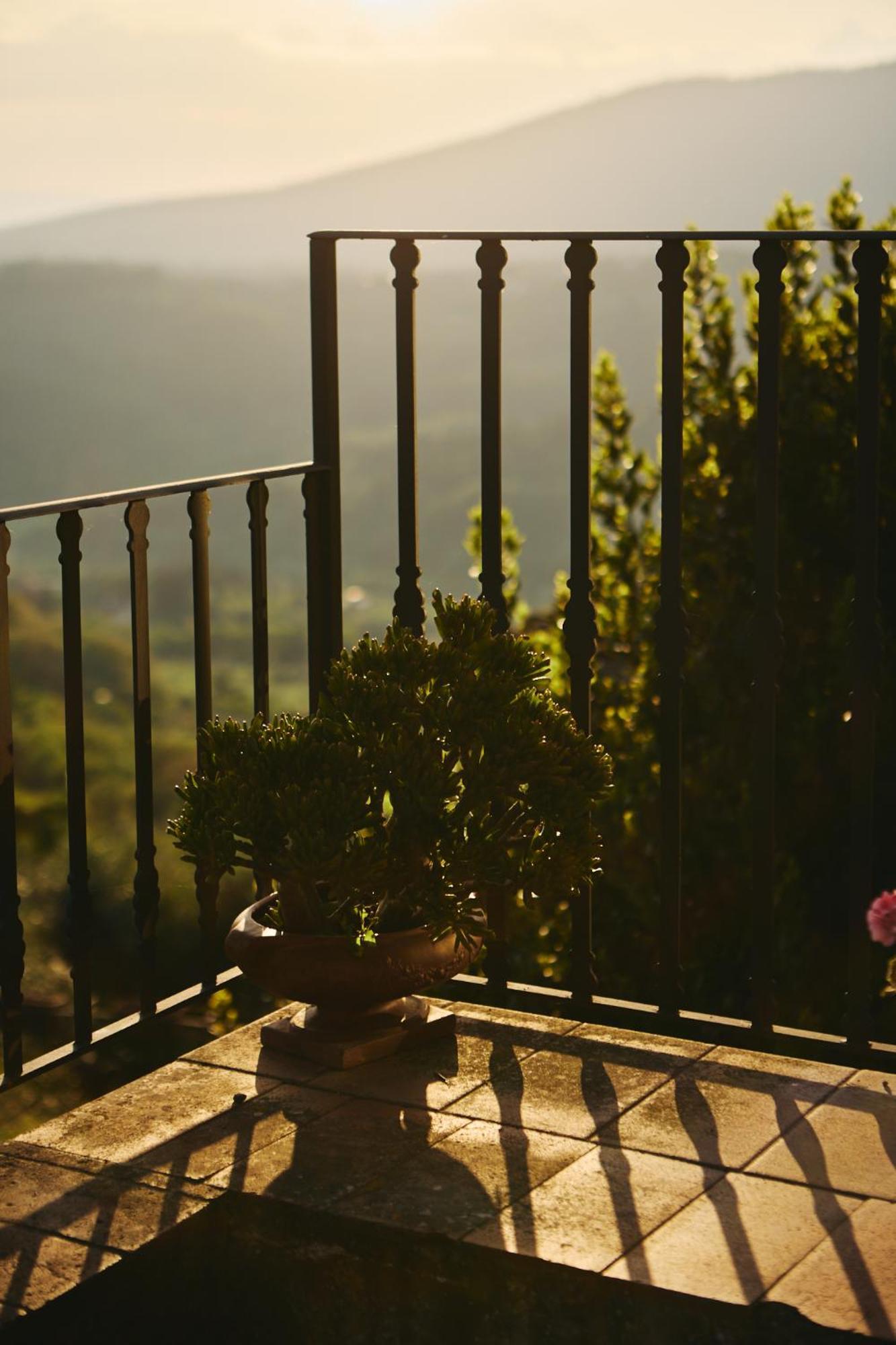 Fattoria Poggio Di Fiesole Villa Eksteriør billede