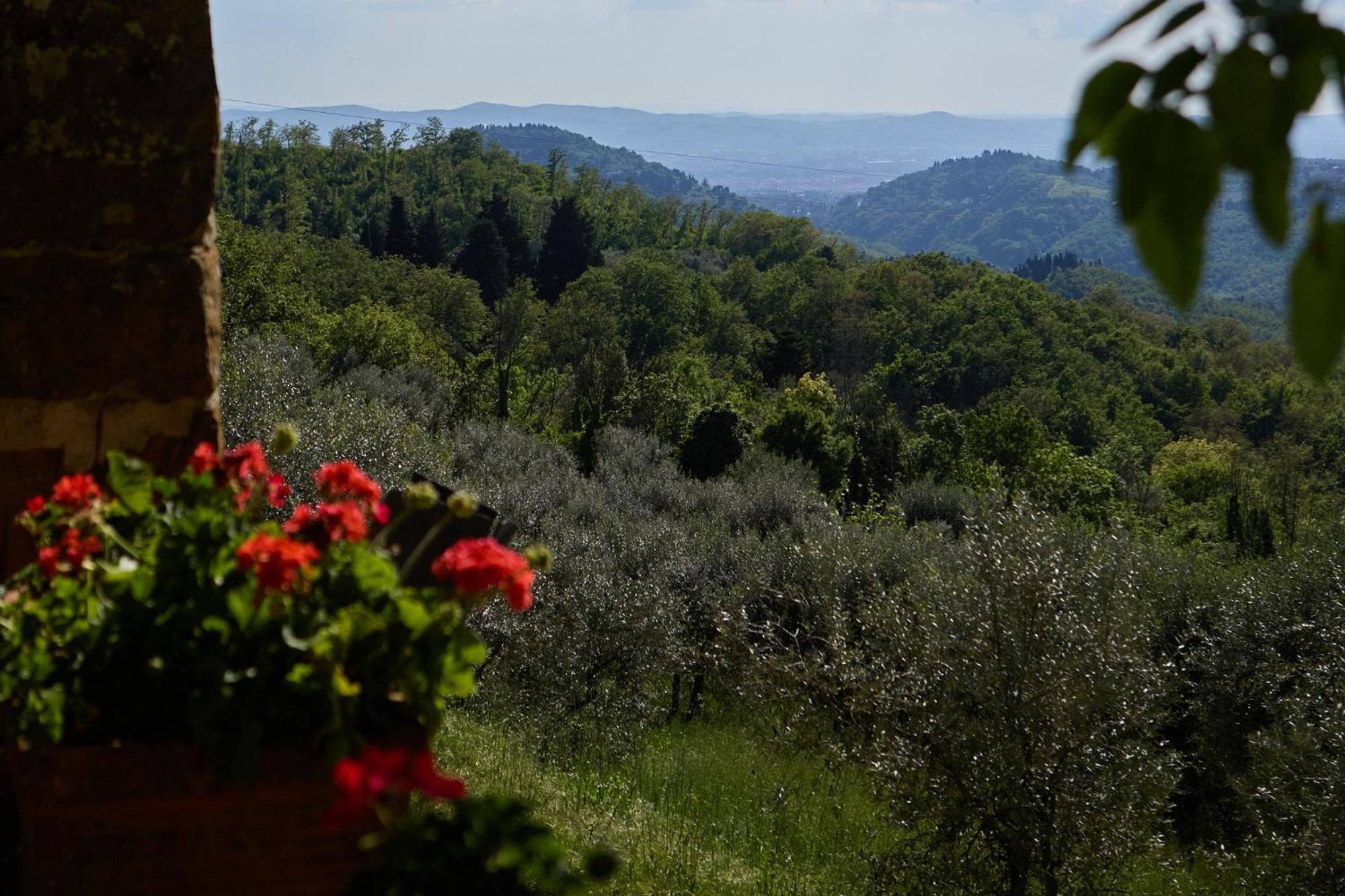 Fattoria Poggio Di Fiesole Villa Eksteriør billede